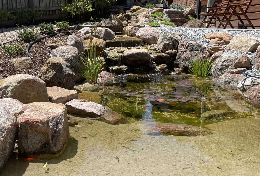 Ecosystem Pond built by PCB Waterscapes